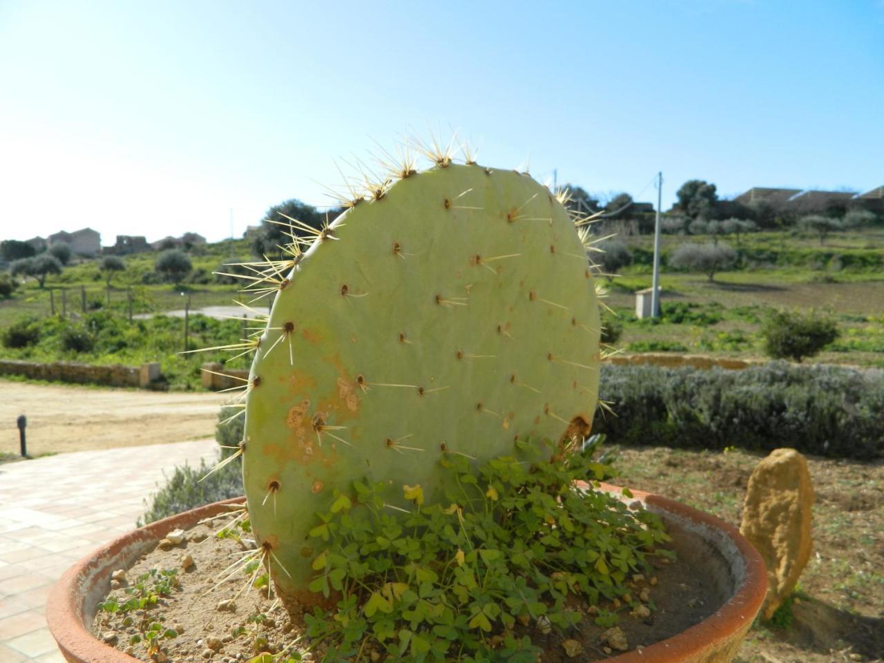 Agriturismo Passo Dei Briganti Agrigento Bagian luar foto